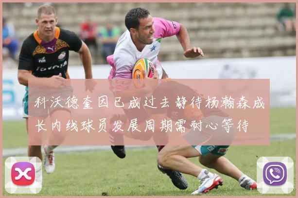 科沃德奎因已成过去静待杨瀚森成长内线球员发展周期需耐心等待